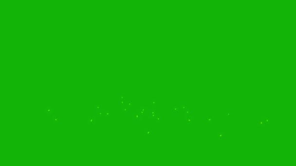 萤火虫高分辨率绿色屏幕镜头4K 易编辑绿色屏幕视频 高品质矢量3D插图 首选绿色屏幕背景 — 图库视频影像