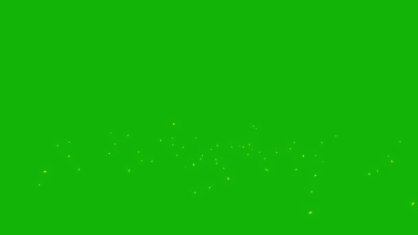 Firefly Top Роздільна Здатність Зеленого Екрану Кадрів Просте Редагування Зеленого — стокове відео