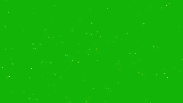 Светлячки Верхнего Разрешения Зеленый Экран Кадры Легкий Редактируемый Зеленый Экран — стоковое видео