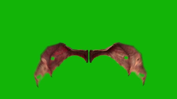 Demon Wings Topp Upplösning Animation Grön Skärm Video Lätt Redigerbar — Stockvideo