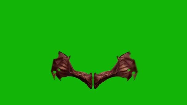 Demon Wings Top Rozdzielczość Animacja Zielony Ekran Wideo Łatwy Edycji — Wideo stockowe