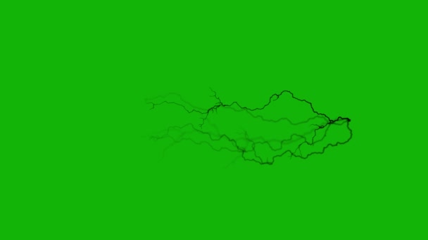 Веном Инфицированных Вен Высшего Качества Анимированный Зеленый Экран Легко Редактируемый — стоковое видео