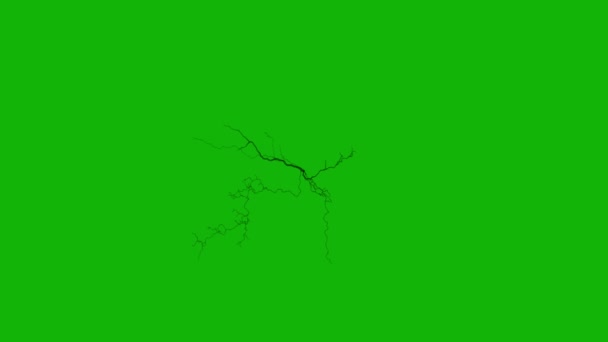 Венома Заражена Вена Найвищої Якості Анімований Зелений Екран Легке Редагування — стокове відео
