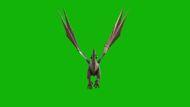 Dragon Flying Top Resolución Efectos Pantalla Verde Vídeo Pantalla Verde — Vídeo de stock