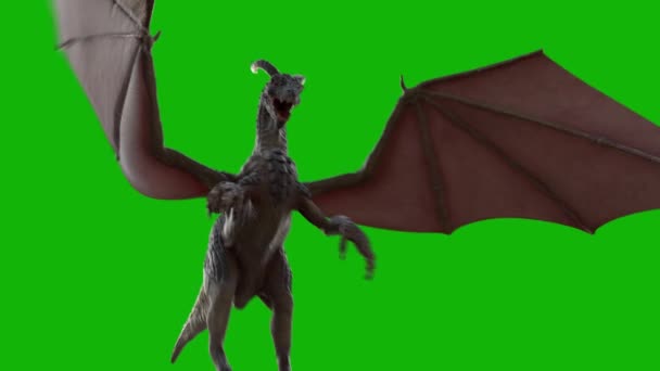 Dragon Flying Top Resolution Green Screen Effects Легке Редагування Зеленого — стокове відео