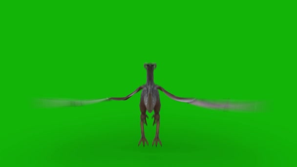 Dragon Flying Top Resolution Green Screen Effects Easy Edible Green — стоковое видео