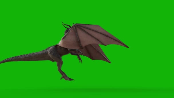 Dragon Flying Top Rozdzielczość Efektów Zielony Ekran Łatwy Edycji Zielony — Wideo stockowe