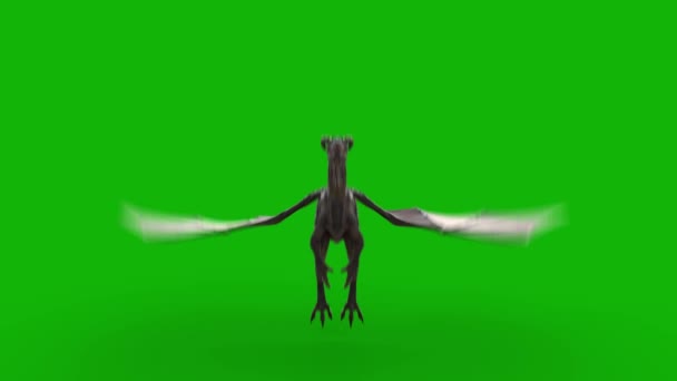Dragon Flying Top Upplösning Grön Skärm Effekter Lätt Redigerbar Grön — Stockvideo