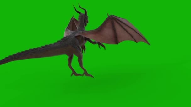 Dragon Flying Top Resolution Green Screen Effects Easy Editable Green — Stock Video
