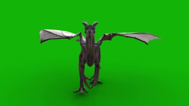 Dragon Flying Top Resoluutio Vihreä Näyttö Vaikutukset Helppo Muokattavissa Vihreä — kuvapankkivideo