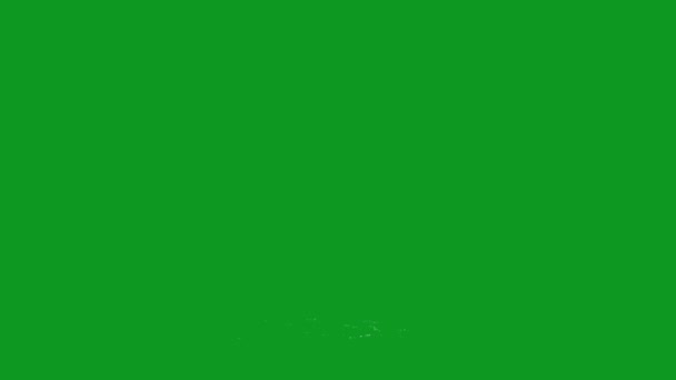 滝の上質の緑のスクリーンの映像4K 容易な編集可能な緑のスクリーン ビデオ 良質のベクター3Dのイラスト トップの選択 緑のスクリーンの背景 — ストック動画