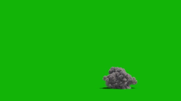 Explosion Smoke Top Quality Green Screen Backgrounds Easy Editable Green — ストック動画