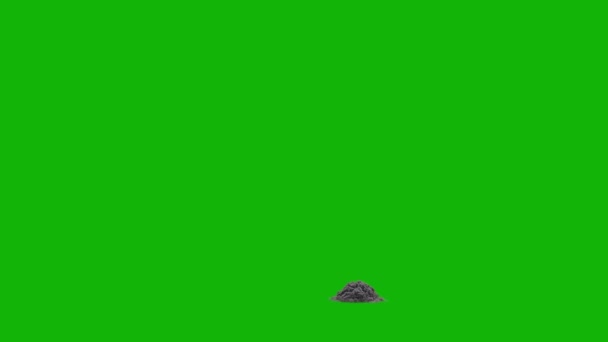 Explosion Smoke Top Quality Green Screen Backgrounds Easy Editable Green — Stockvideo