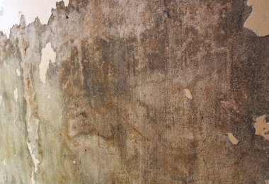 Beyaz akrilik boyalı eski grunge beton duvar. Evde boyama hazırlığı.