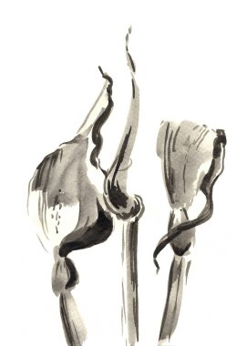 El çizimi bitkisel grafik siyah ve beyaz izole