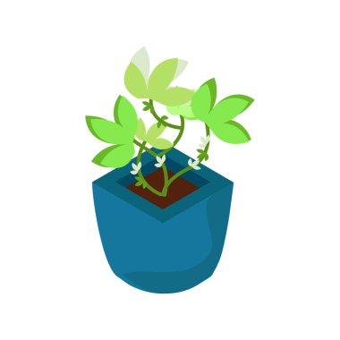 Mavi renkli Isometric saksı. Beyaz arkaplanda izole edilmiş, vektör illüstrasyonu