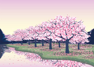 the current Reflecting River with two banks, on which cherry blossom trees grow, mountains and a warm sky with clouds. vector illustration. Japanese style.