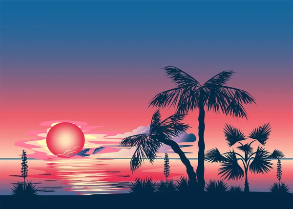 在落日和大海的背景下 棕榈树的轮廓 热带的风景 矢量说明 — 图库矢量图片
