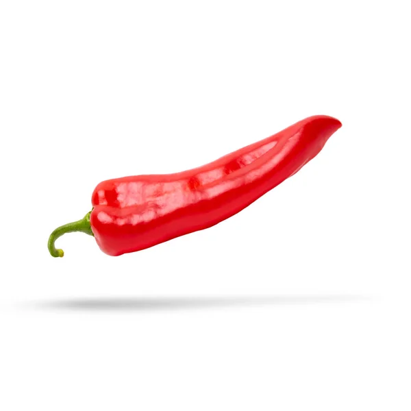 Red Chili Pepper Isolated — Stock Photo, Image