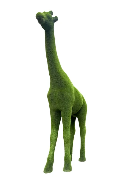 长颈鹿雕塑 由灌木或人造草制成 有形状的顶层 园林绿化 — 图库照片