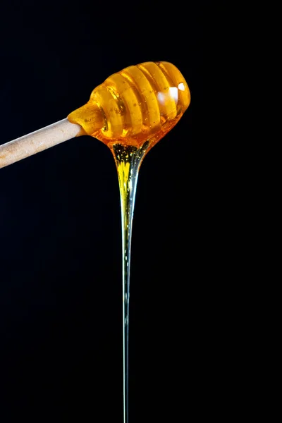 Μέλι Στάζει Από Dipper Ξύλινο Ραβδί Μέλι Πάνω Από Μαύρο — Φωτογραφία Αρχείου