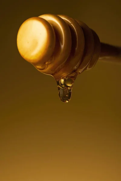 Μέλι Στάζει Από Dipper Ξύλινο Μέλι Ραβδί Μακροεντολή Πυροβόλησε Πάνω — Φωτογραφία Αρχείου
