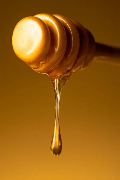 Μέλι Στάζει Από Dipper Ξύλινο Μέλι Ραβδί Μακροεντολή Πυροβόλησε Πάνω — Φωτογραφία Αρχείου