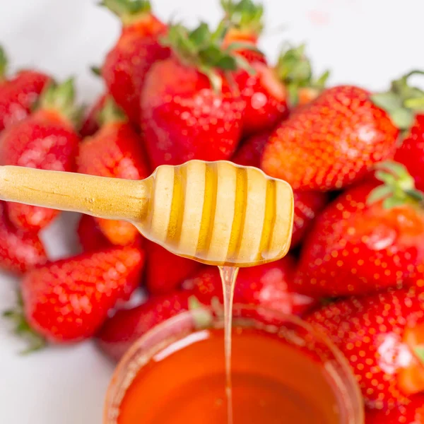 Μέλι Στάζει Από Dipper Ξύλινο Μέλι Ραβδί Μακροεντολή Από Κοντά — Φωτογραφία Αρχείου