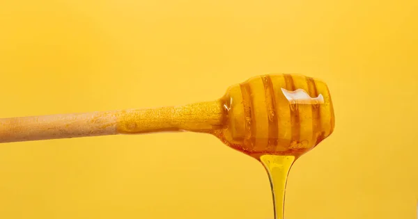 Μέλι Στάζει Από Dipper Ξύλινο Μέλι Ραβδί Μακροεντολή Κοντά Πάνω — Φωτογραφία Αρχείου