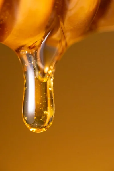 Honey Dripping Dipper Wooden Honey Stick Macro Shot Dark Yellow — Stock Photo, Image
