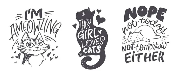 Zabawny Ręcznie Rysowany Plakat Literami Kocie Miłośniczka Kotów Sztuka Miłośników — Wektor stockowy