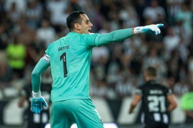 Rio, Brezilya - 26 Ekim 2022 - Gatito Fernandez, Botafogo ile Bragantino arasında oynanan maçta Brezilya Şampiyonası 'nın 34 rauntluk serisi Nilton Santos Stadyumu' nda oynandı.