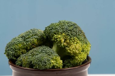 Tencerede taze çiğ brokoli izole edilmiş..