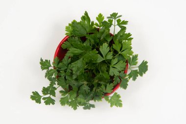 Kimsesiz bir kasede maydanoz..