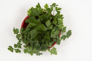 Kimsesiz bir kasede maydanoz..