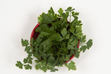 Kimsesiz bir kasede maydanoz..