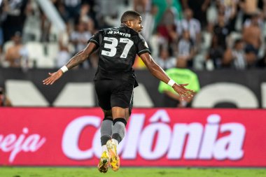 Rio, Brezilya - 10 Kasım 2022, Botafogo ve Santos arasında oynanan maçta Brezilya Şampiyonası 'nın 37. turu, Nilton Santos Stadyumu' nda serisi var.