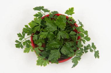 Kimsesiz bir kasede maydanoz..