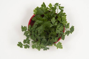 Kimsesiz bir kasede maydanoz..