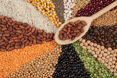 Sağlıklı gıda vejetaryen gıda konsepti. Çeşitli organik tahıllar, sebzeler, tam tahıllar.