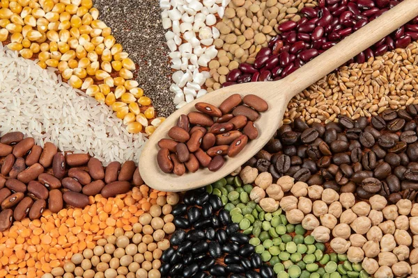 Alimente Sănătoase Vegetariene Vegane Concept Alimentar Diverse Cereale Organice Asortate — Fotografie, imagine de stoc