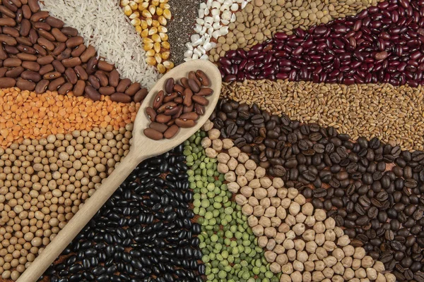 Концепція Вегетаріанської Їжі Різні Зернові Зернові Поверхні — стокове фото
