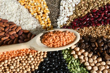 Tahta kaşık, çeşitli tohumlarda çiğ kırmızı mercimek.