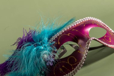 Venetian carnival mask with feathers and typical elements in the green background