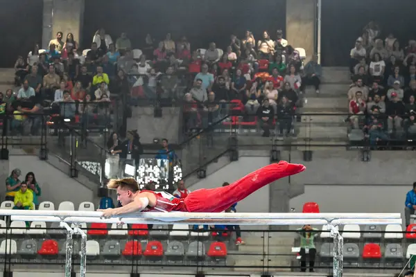 Rio, Brezilya - 23 Ekim 2023, Pan Amerikan Oyunları 'nda Erkekler Sanatsal Jimnastik Kolektif Spor Merkezi' nde gerçekleşti. Dolci Felix (CAN) altın madalya