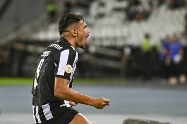 Rio, Brezilya - Kasım 01, 2023, Tiquinho Soares Nilton Santos Stadyumu 'nda oynanan 31' nci turda Botafogo 4 'e karşı 3 Palmeiras arasındaki maçta