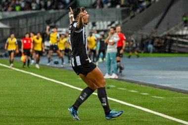 Rio, Brezilya - Kasım 01, 2023, Tiquinho Soares Nilton Santos Stadyumu 'nda oynanan 31' nci turda Botafogo 4 'e karşı 3 Palmeiras arasındaki maçta