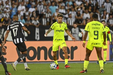 Rio, Brezilya - Kasım 01, 2023, Nilton Santos Stadyumu 'nda oynanan 31. Rauntta Botafogo 4' e karşı 3 Palmeira arasındaki maçta Richard Rios oynadı.