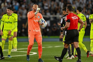 Rio, Brezilya - Kasım 01, 2023, Nilton Santos Stadyumu 'nda oynanan 31. Rauntta Botafogo 4' e karşı 3 Palmeira maçında Weverton oyuncusu