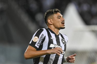 Rio, Brezilya - Kasım 01, 2023, Tiquinho Soares Nilton Santos Stadyumu 'nda oynanan 31' nci turda Botafogo 4 'e karşı 3 Palmeiras arasındaki maçta